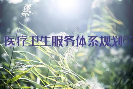 ҽϵ滮