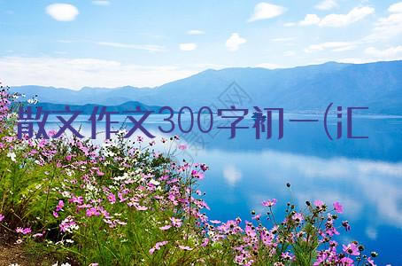 ɢ300ֳһ(ƪ)