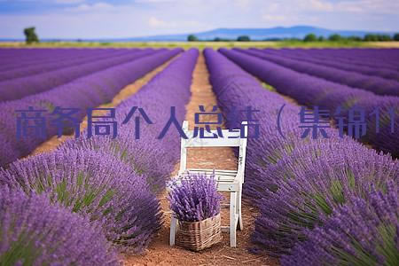 ָܽᣨ11ƪ