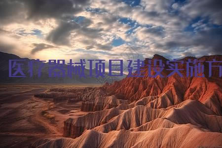 ҽеĿʵʩ