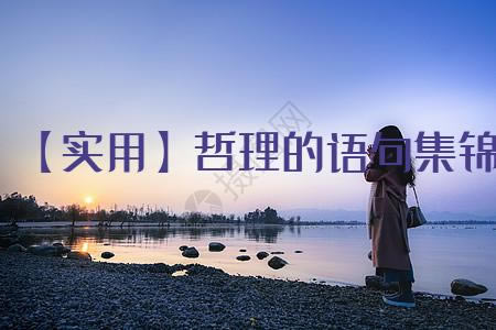 ʵá伯55