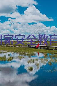 ڹҰȫݽ